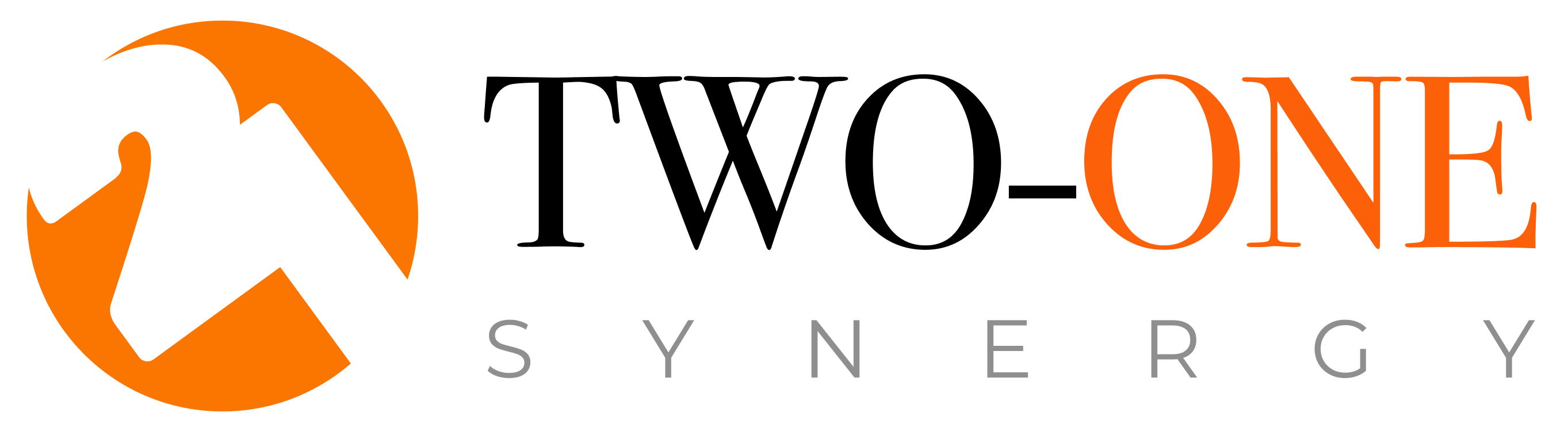 Two-one-venture-logo 